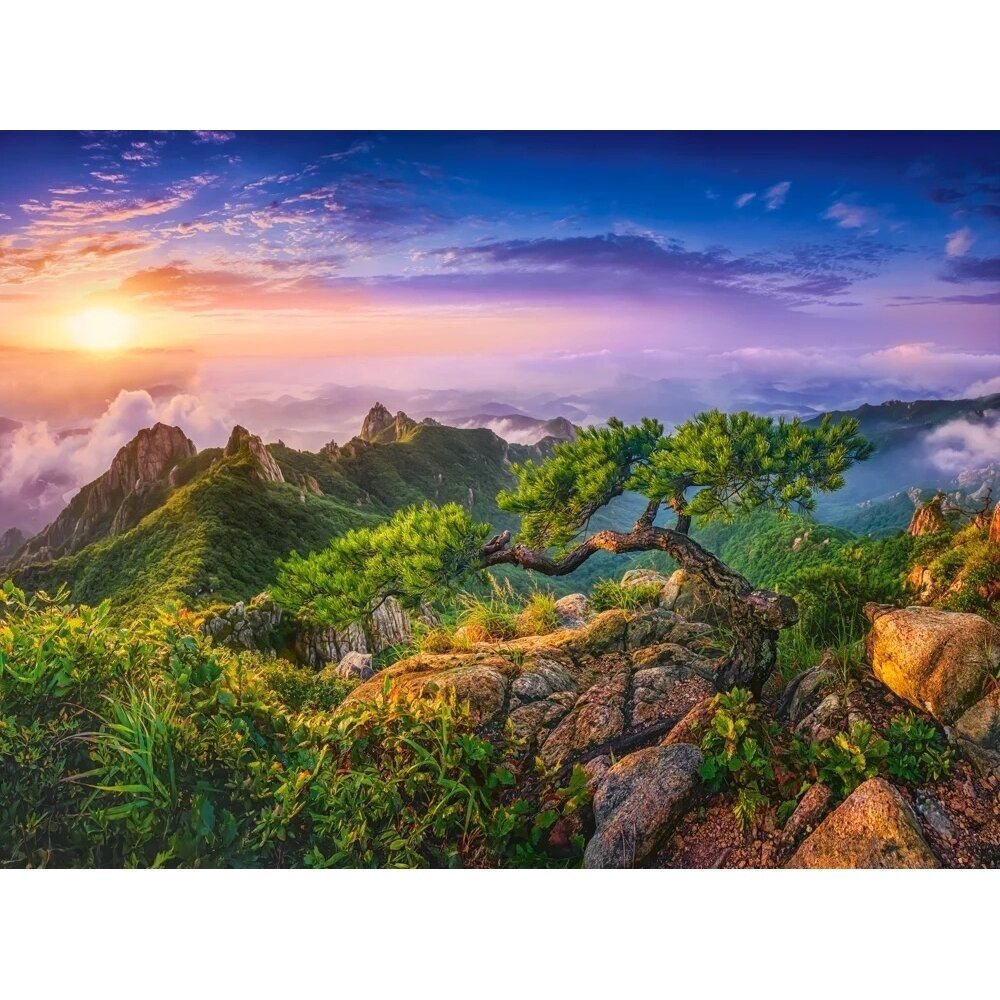 Castorland dėlionė Sunrise In Wolchulsan, South Korea 3000 det. 1