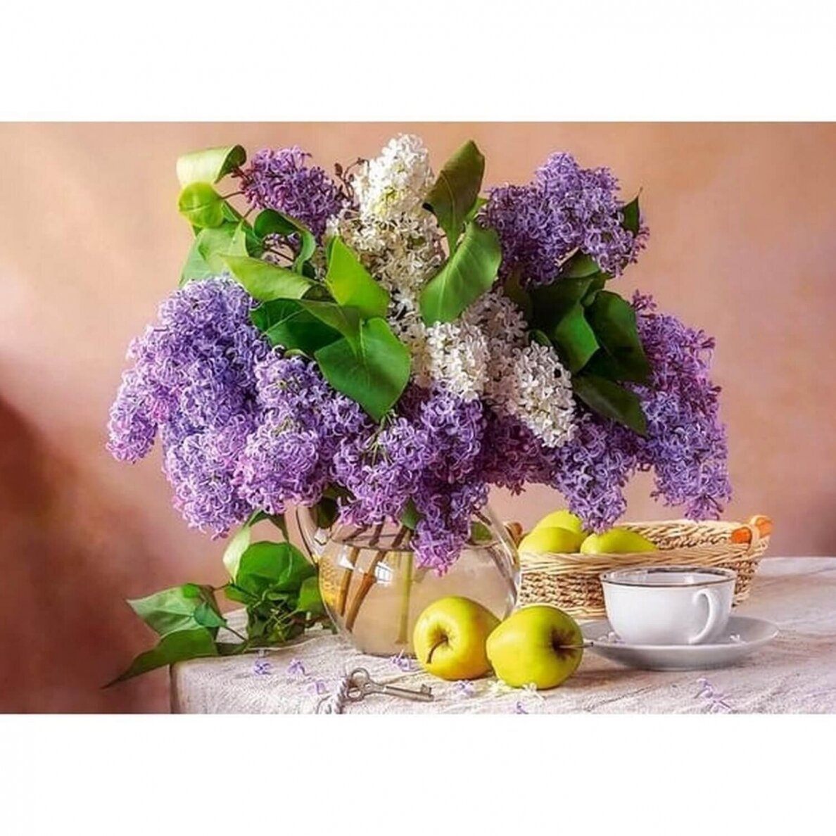 Castorland dėlionė Lilac Still Life 500 det 1 Castorland dėlionė Lilac Still Life 500 det 1