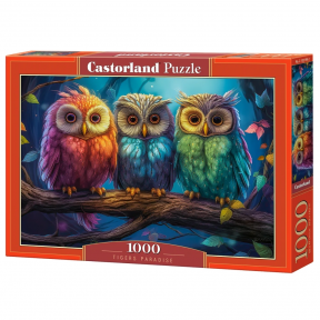 Castorland dėlionė Three Little Owls 1000 det.
