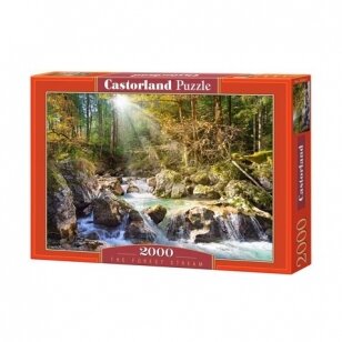 Castorland dėlionė Sunny forest  2000 det.