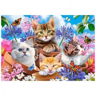 Castorland dėlionė Kittens With Flowers 120 det.
