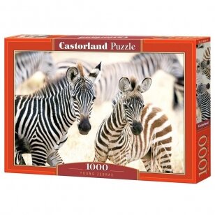 Castorland dėlionė Young Zebras 1000 det