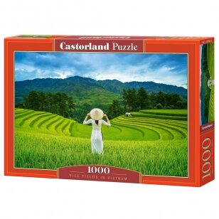 Castorland dėlionė Rice Fields in Vietnam 1000 det
