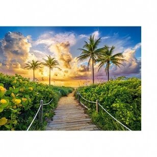 Castorland dėlionė Colorful Sunrise in Miami,USA  3000 det.
