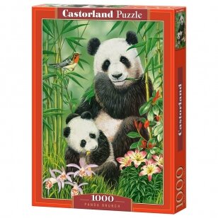 Castorland dėlionė Panda Brunch 1000 det.