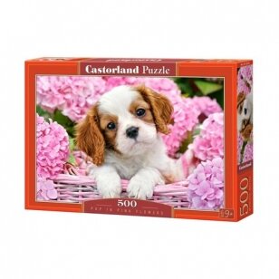 Castorland dėlionė Pup in Pink Flowers 500 det.