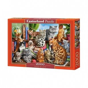 Castorland dėlionė House of Cats  2000 det.