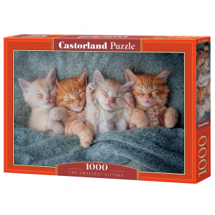 Castorland dėlionė The Sweetest Kittens 1000 det.
