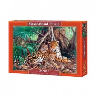 Castorland dėlionė  Jaguars In The Jungle 3000 det.