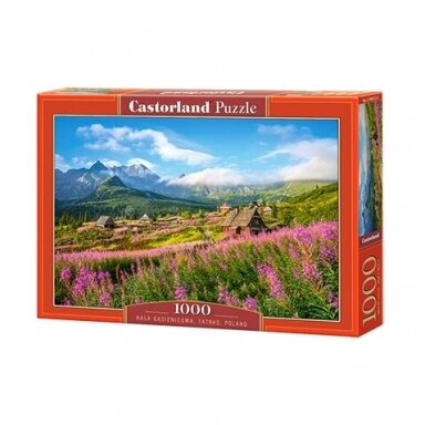 Castorland dėlionė Hala Gasienicowa, Tatras, Poland 1000 det. Castorland dėlionė Hala Gasienicowa, Tatras, Poland 1000 det.