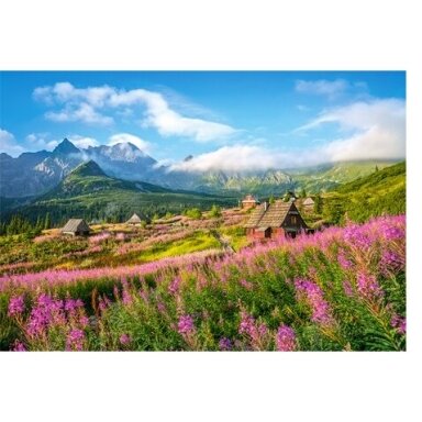Castorland dėlionė Hala Gasienicowa, Tatras, Poland 1000 det. Castorland dėlionė Hala Gasienicowa, Tatras, Poland 1000 det.