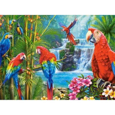 Castorland dėlionė Parrot Meeting 2000 det.