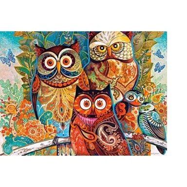 Castorland dėlionė Owls 2000 det.