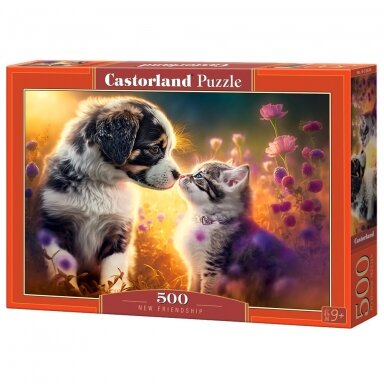 Castorland dėlionė New Friendship 500 det