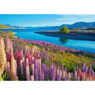Castorland dėlionė Lake Tekapo New Zealand 500 det.