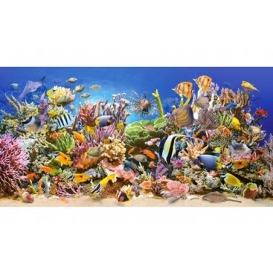 Castorland dėlionė Underwater Life 4000 det.