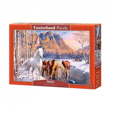 Castorland dėlionė Winter Melt 500 det