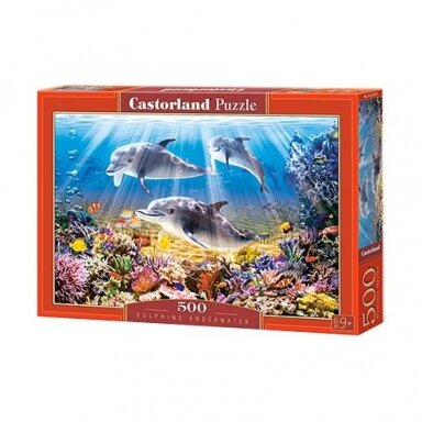 Castorland dėlionė Dolphins Underwater  500 det.