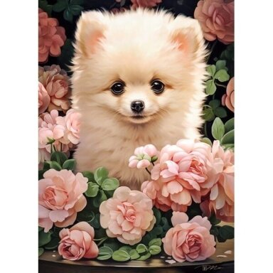 Castorland dėlionės Pomeranian Puppy in Roses 60 det.