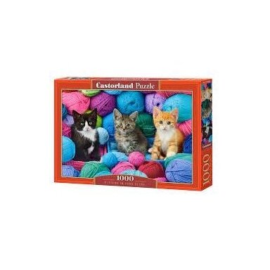 Castorland dėlionė Kittens In Yam Store  1000 det.