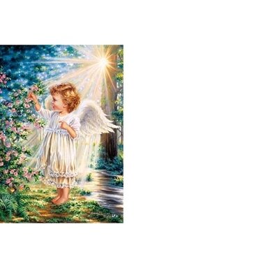 Castorland dėllionė An Angel's Touch  1000 det.
