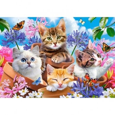 Castorland dėlionė Kittens with Flowers 500 det 1