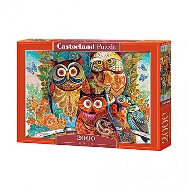 Castorland dėlionė Owls 2000 det.