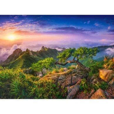 Castorland dėlionė Sunrise In Wolchulsan, South Korea 3000 det. 1