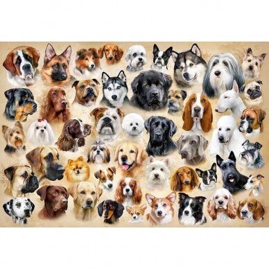 Castorland dėlionė Collage with Dogs 1500 det. 1