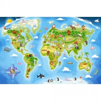 Castorland dėlionė  WORLD MAP 40 detalių