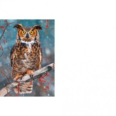 Castorland dėlionė Great Horned Owl  500 det. 1