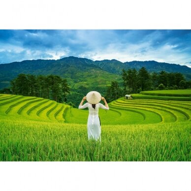 Castorland dėlionė Rice Fields in Vietnam 1000 det