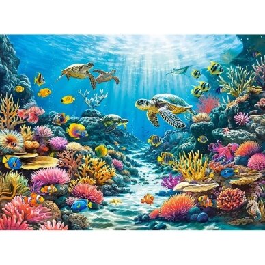 Castorland dėlionė Turtle Reef 2000 det 1 Castorland dėlionė Turtle Reef 2000 det 1