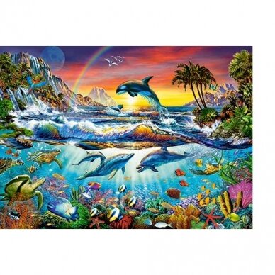Castorland Dėlionė Paradise Cove 300 Det. 1