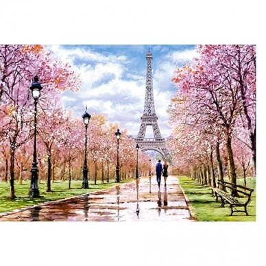 Castorland dėlionė Romantic Walk in Paris 1000 det. 1