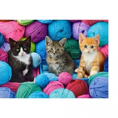 Castorland Dėlionė  Kittens In Yarn Store 300 Det.