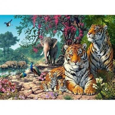 Castorland dėlionė Tiger Sanctuary  3000 det. 1