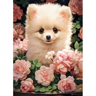 Castorland dėlionė Pomeranian Puppy in Roses 300 det. 1 Castorland dėlionė Pomeranian Puppy in Roses 300 det. 1