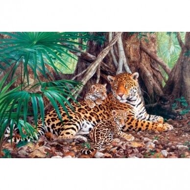 Castorland dėlionė  Jaguars In The Jungle 3000 det. 1