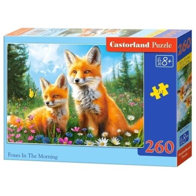 Castorland dėlionė Foxes In The Morning 260 det