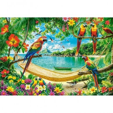 Castorland dėlionė Exotic Place For You 1000 det 1