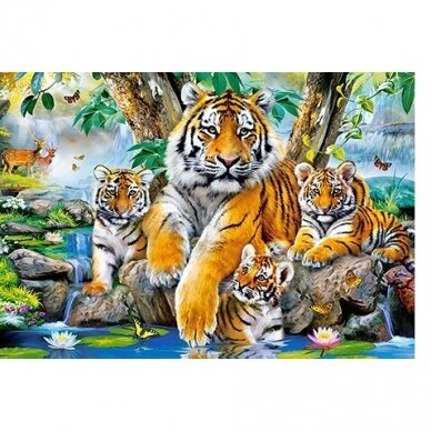 Castorland dėllionė TIGERS BY THE STREAM 1000 det. 1 Castorland dėllionė TIGERS BY THE STREAM 1000 det. 1