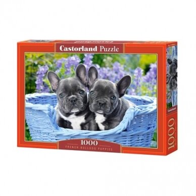 Castorland dėllionė  French Bulldog Puppies 1000 det.