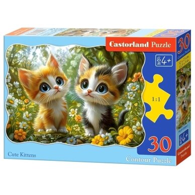 Castorland delionė Cute Kittens 30 det Castorland delionė Cute Kittens 30 det