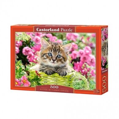 Castorland dėlionė Kitten in Flower Garden 500 det