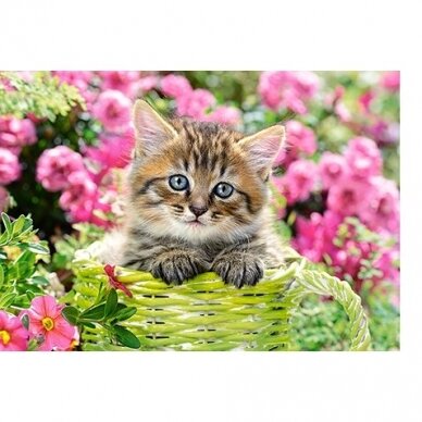 Castorland dėlionė Kitten in Flower Garden 500 det 1