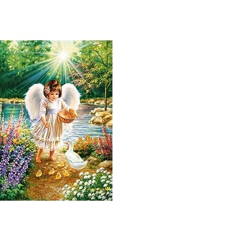 Castorland Dėlionė An Angel's Warmth 500 Det 1 Castorland Dėlionė An Angel's Warmth 500 Det 1