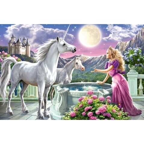 Castorland dėlionė Princess and her Unicorns 120 det. 1