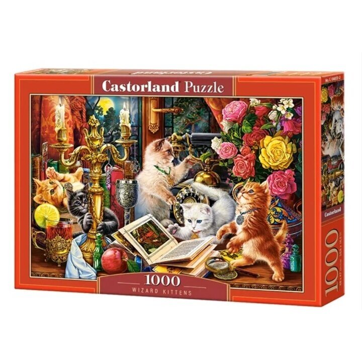 Castorland dėlionė Wizard Kittens1000 det Castorland dėlionė Wizard Kittens1000 det