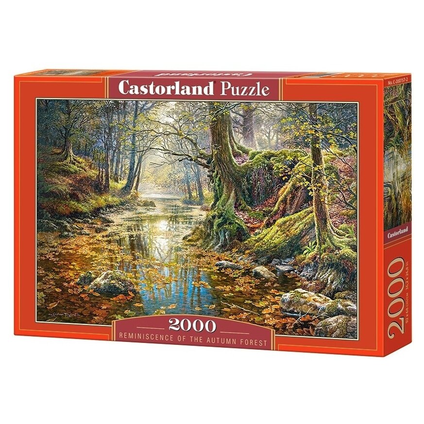 Castorland dėlionė Reminiscence of the Autumn Forest 2000 det Castorland dėlionė Reminiscence of the Autumn Forest 2000 det